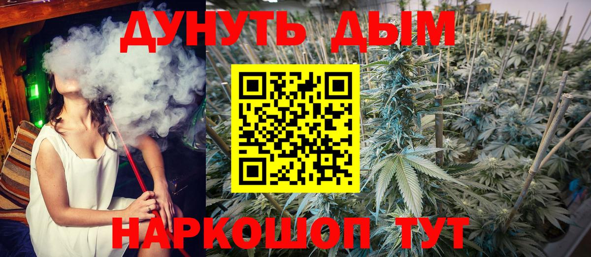 Конопля марихуана Георгиевск